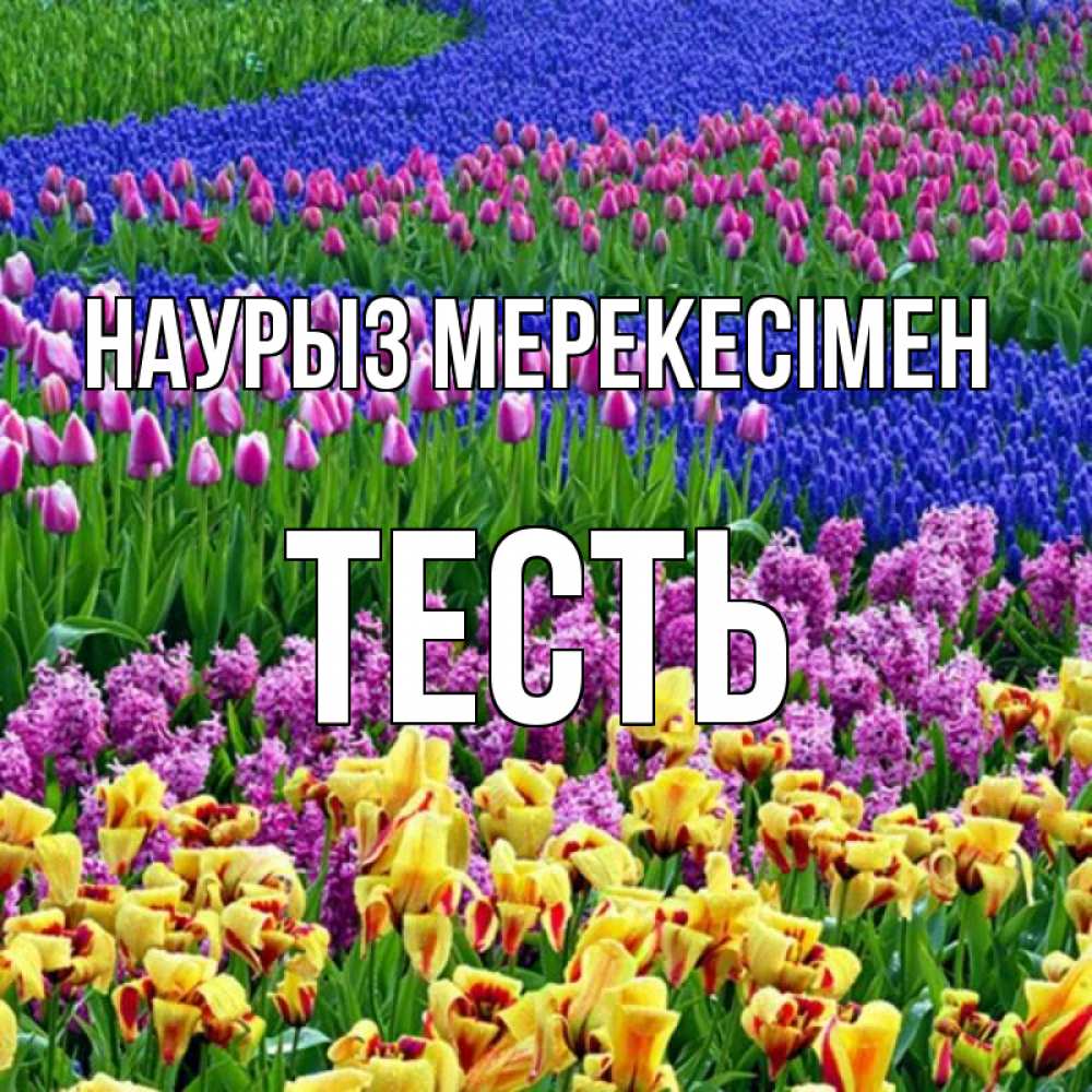 Күн сайын ашық хат с именем, Тесть Наурыз мерекесімен цветы Онлайн тегін жүктеп алу тілектері бар керемет карта 