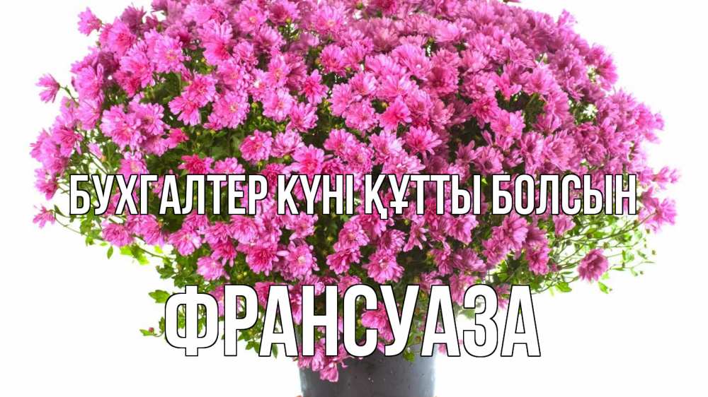 Күн сайын ашық хат с именем, Франсуаза бухгалтер күні құтты болсын с днем бухгалтера Онлайн тегін жүктеп алу тілектері бар керемет карта 