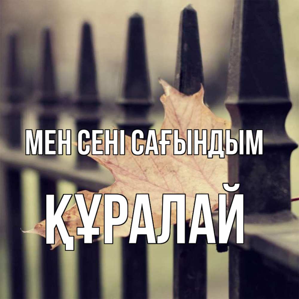 Күн сайын ашық хат с именем, ҚҰРАЛАЙ Мен сені сағындым очень скучно Онлайн тегін жүктеп алу тілектері бар керемет карта 