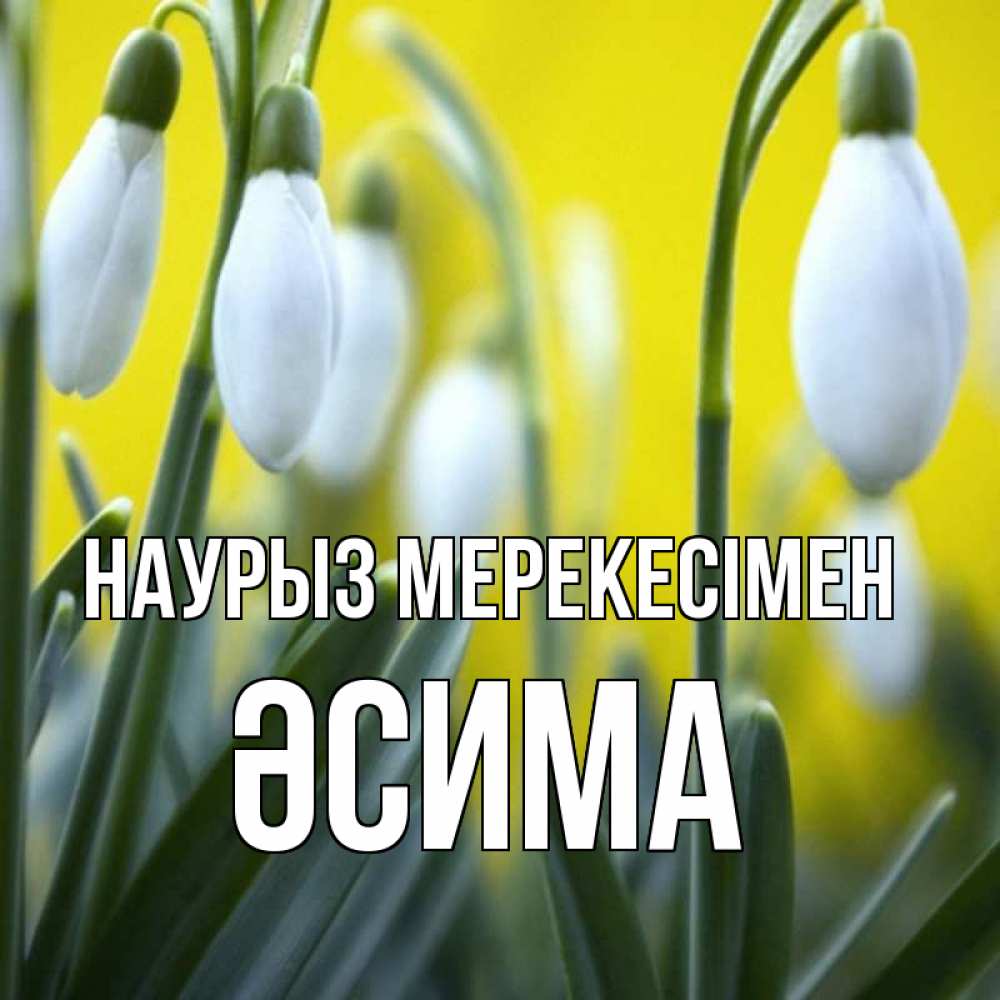 Күн сайын ашық хат с именем, ӘСИМА Наурыз мерекесімен весенние цветы Онлайн тегін жүктеп алу тілектері бар керемет карта 