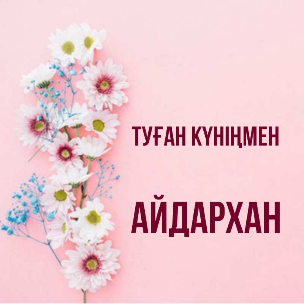 Күн сайын ашық хат с именем, Айдархан Туған күніңмен Родная моя с днем рождения тебя картинка с цветами белыми и голубыми Онлайн тегін жүктеп алу тілектері бар керемет карта 