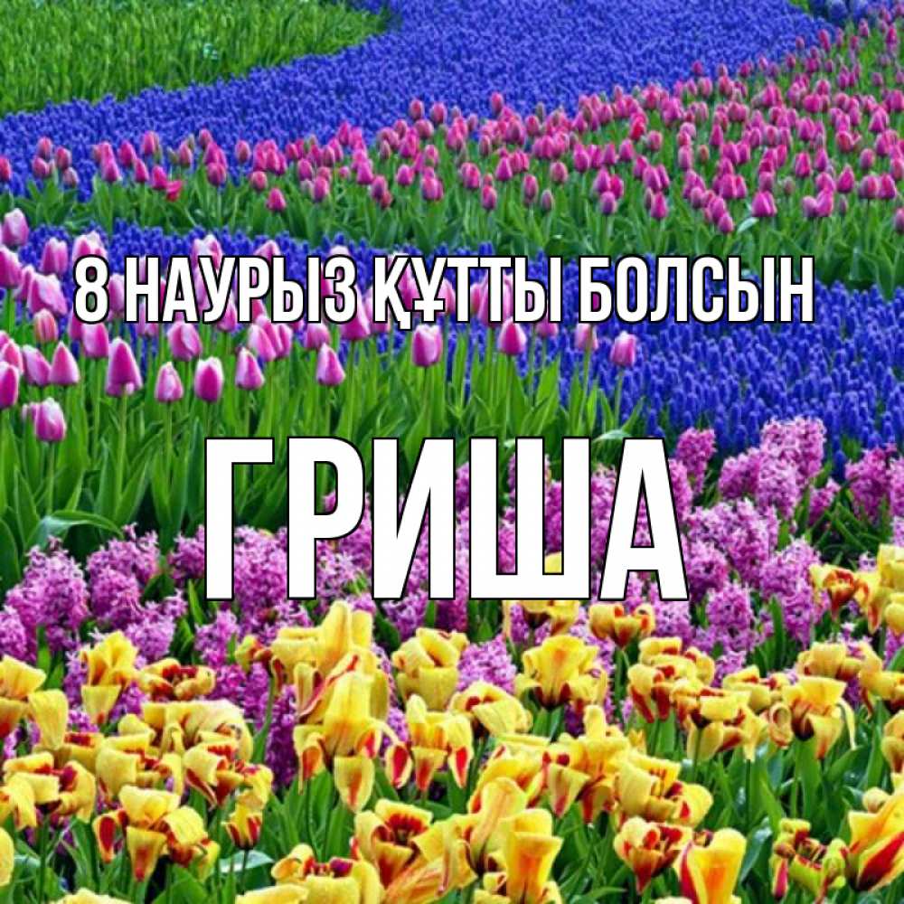 Күн сайын ашық хат с именем, Гриша 8 наурыз құтты болсын цветы Онлайн тегін жүктеп алу тілектері бар керемет карта 