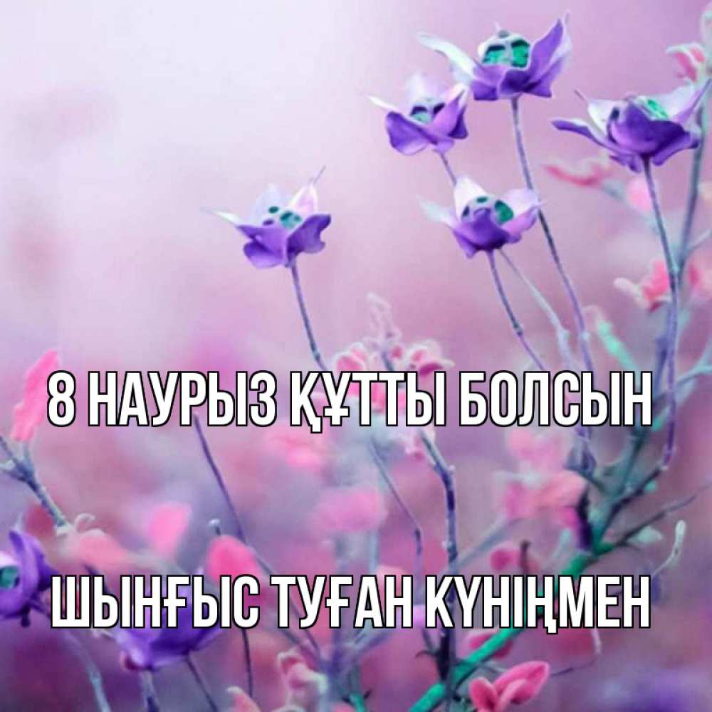 Картинка 8 наурыз құтты болсын, ШЫНҒЫС! ТУҒАН КҮНІҢМЕН!