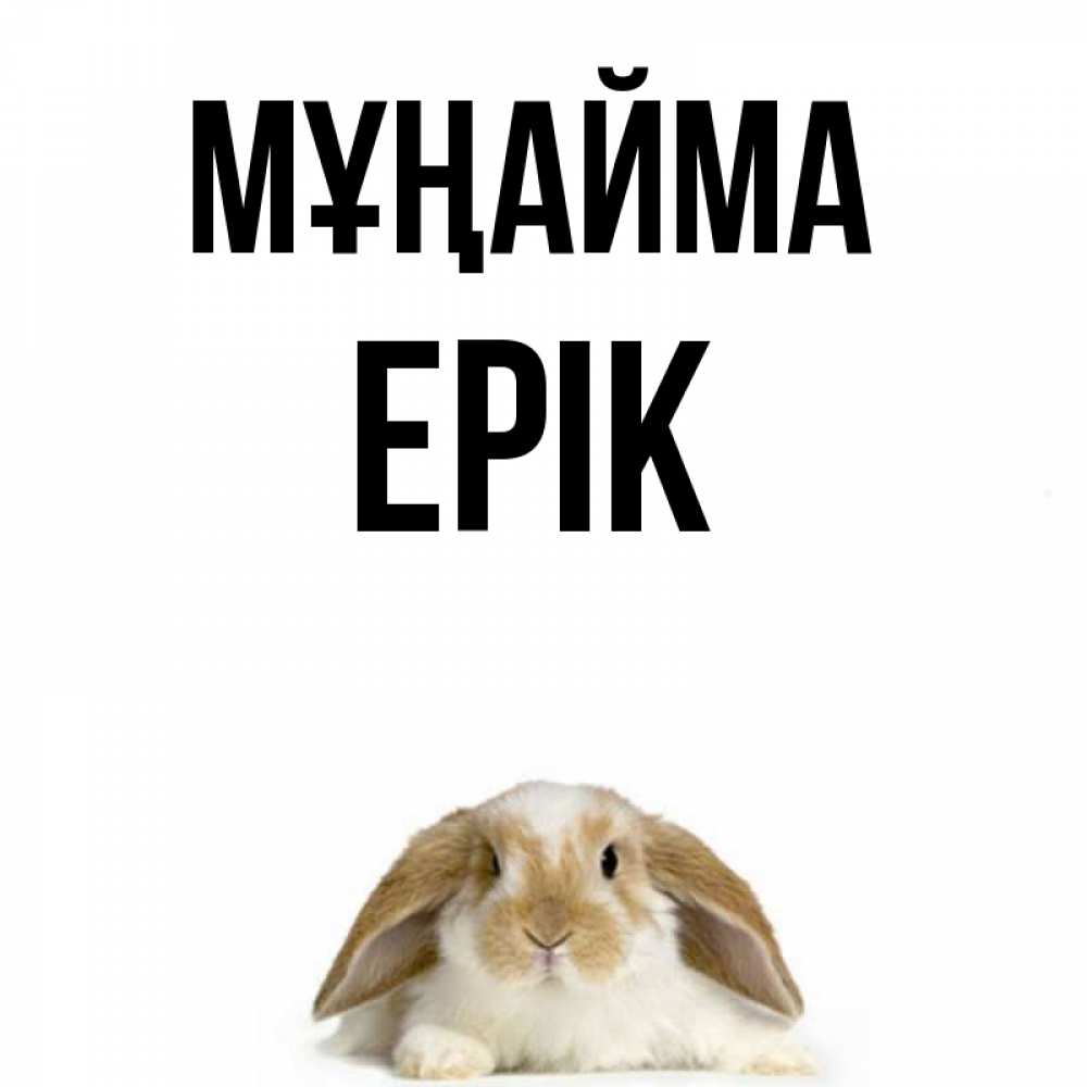 Күн сайын ашық хат с именем, Ерік Мұңайма коричнево белый заяц с большими ушками Онлайн тегін жүктеп алу тілектері бар керемет карта 