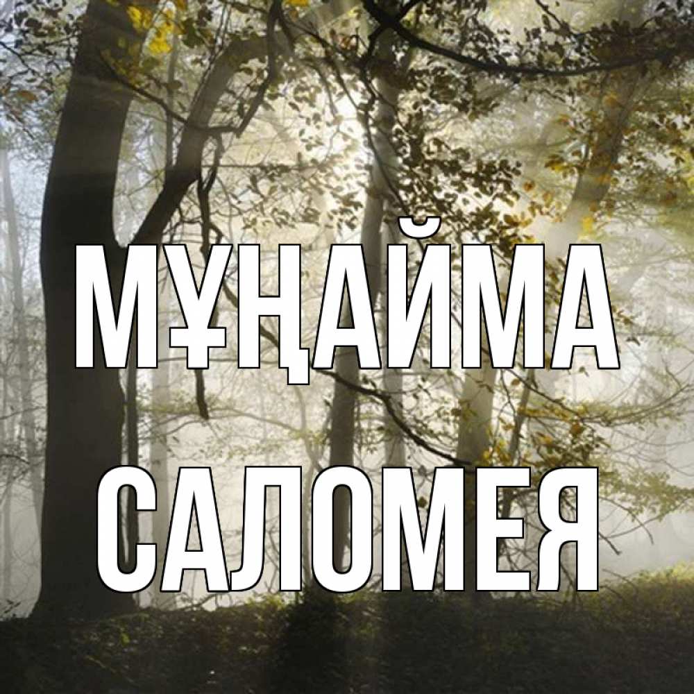 Күн сайын ашық хат с именем, Саломея Мұңайма лес и свет Онлайн тегін жүктеп алу тілектері бар керемет карта 