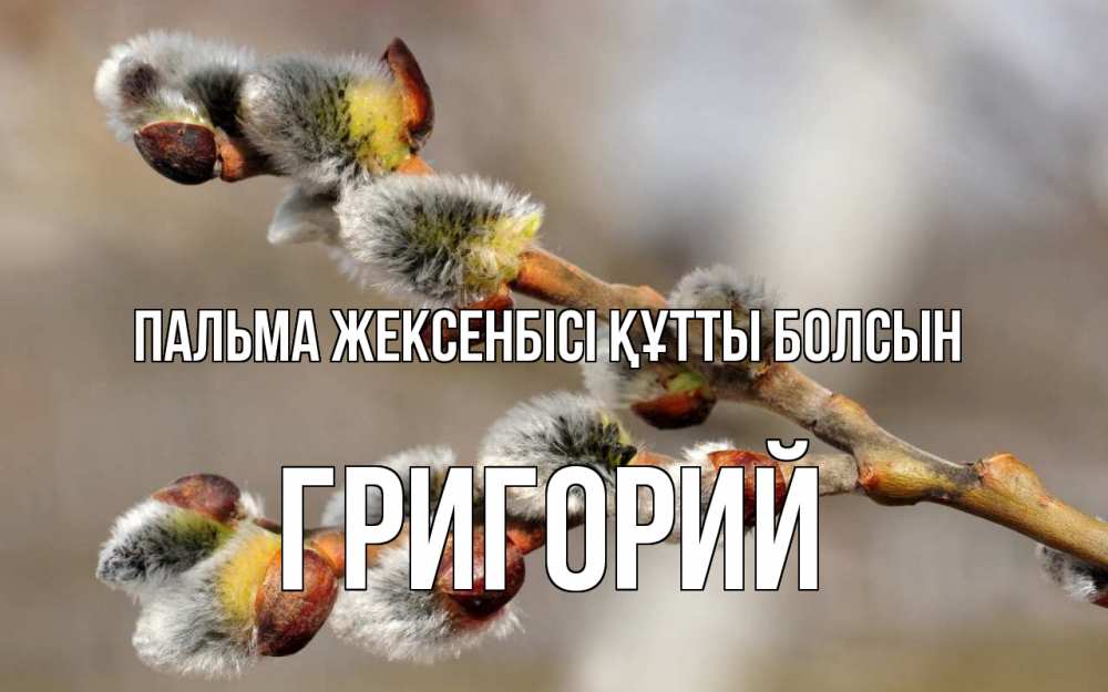 Картинка Пальма жексенбісі құтты болсын, Григорий