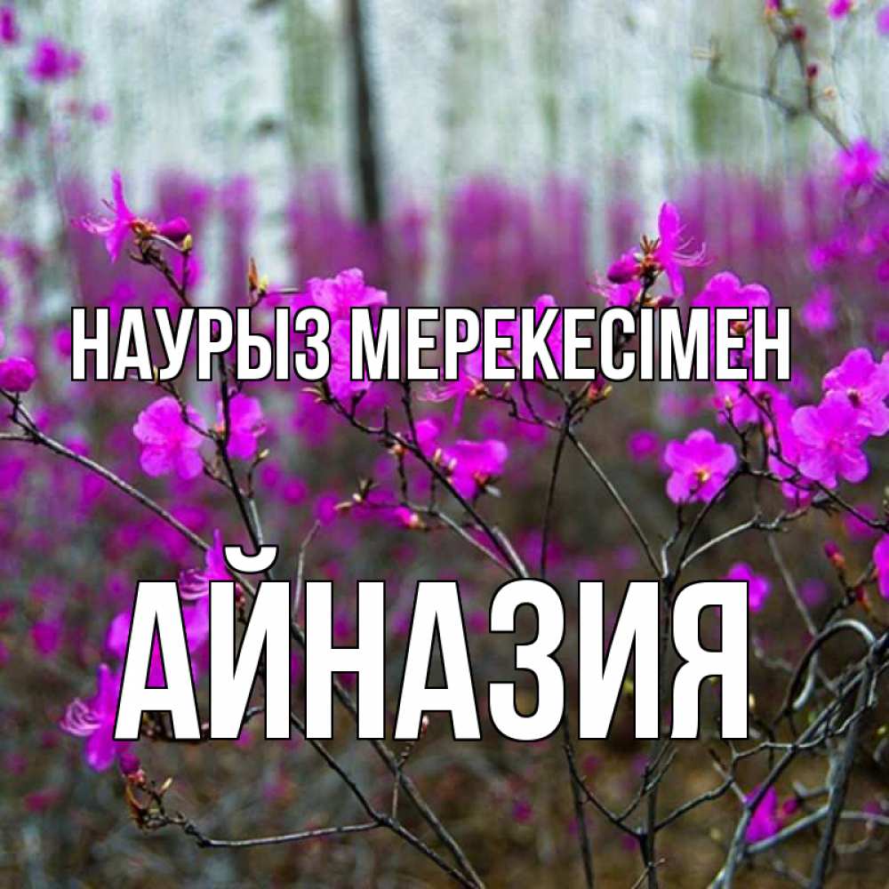 Күн сайын ашық хат с именем, Айназия Наурыз мерекесімен дикие цветы Онлайн тегін жүктеп алу тілектері бар керемет карта 