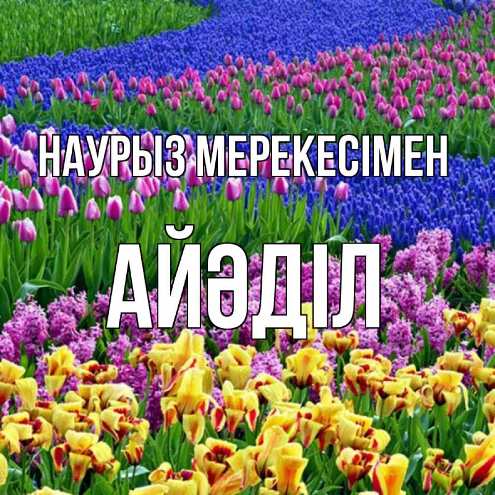 Күн сайын ашық хат с именем, Айәділ Наурыз мерекесімен цветы Онлайн тегін жүктеп алу тілектері бар керемет карта 