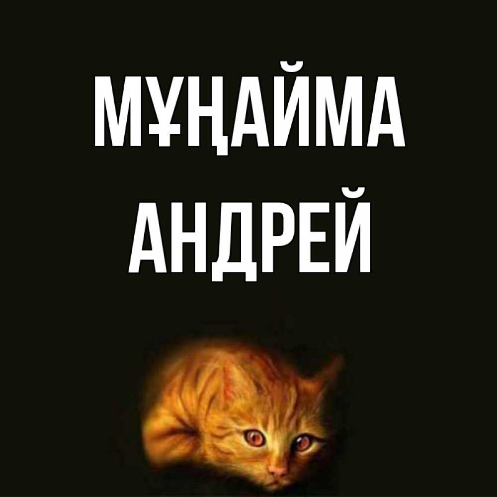 Күн сайын ашық хат с именем, Андрей Мұңайма лежащий кот в темноте Онлайн тегін жүктеп алу тілектері бар керемет карта 