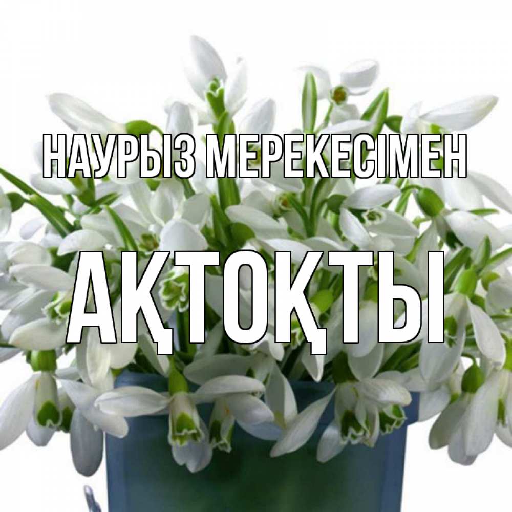Күн сайын ашық хат с именем, АҚТОҚТЫ Наурыз мерекесімен цветы к наурызу новый год в Казахстане Онлайн тегін жүктеп алу тілектері бар керемет карта 
