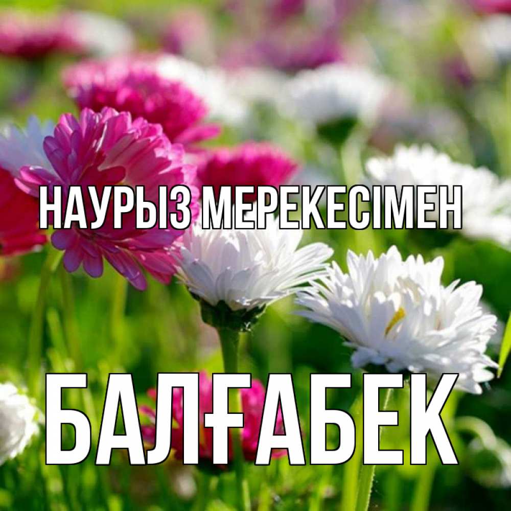 Күн сайын ашық хат с именем, Балғабек Наурыз мерекесімен праздник весны наурыз красота Онлайн тегін жүктеп алу тілектері бар керемет карта 