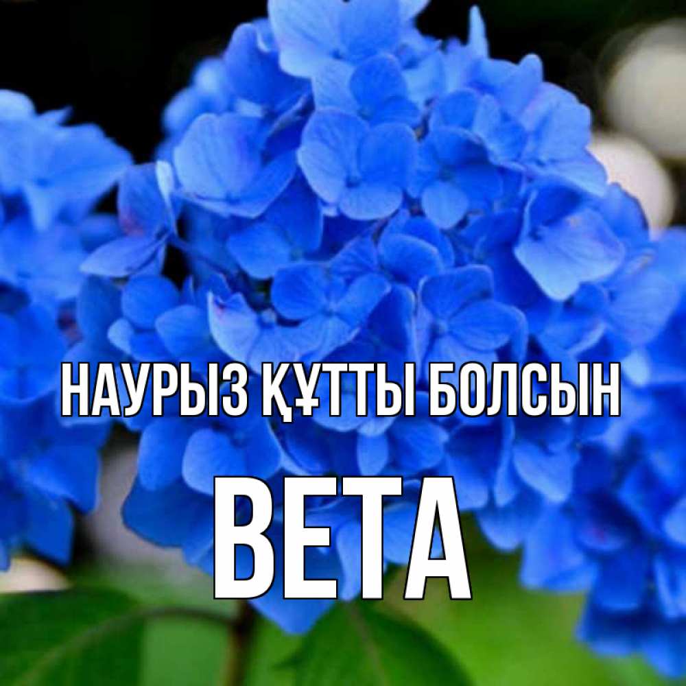Күн сайын ашық хат с именем, Вета Наурыз құтты болсын синие цветы Онлайн тегін жүктеп алу тілектері бар керемет карта 