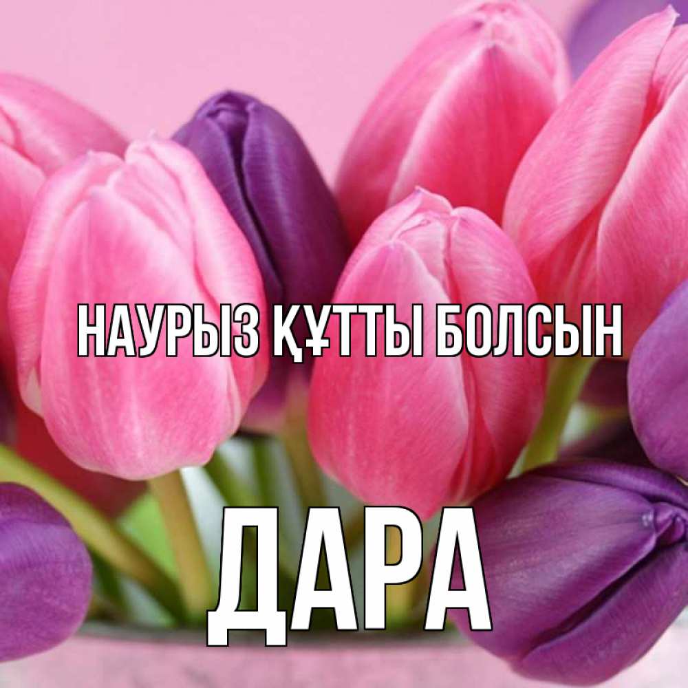 Күн сайын ашық хат с именем, Дара Наурыз құтты болсын маме 1 Онлайн тегін жүктеп алу тілектері бар керемет карта 