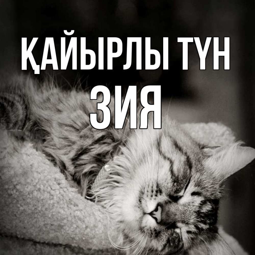 Күн сайын ашық хат с именем, ЗИЯ Қайырлы түн котярик пушистый Онлайн тегін жүктеп алу тілектері бар керемет карта 