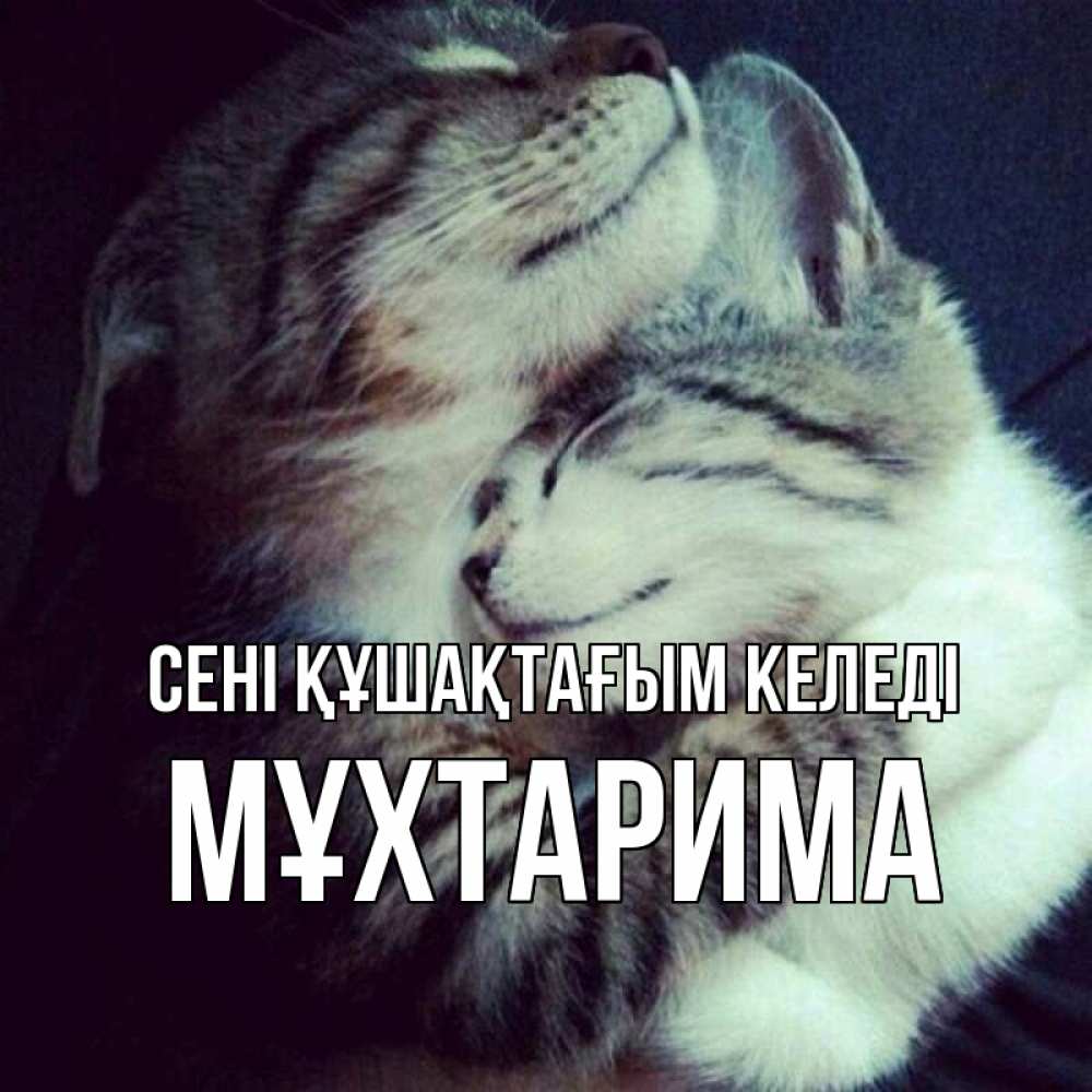 Күн сайын ашық хат с именем, МҰХТАРИМА сені құшақтағым келеді полосатики Онлайн тегін жүктеп алу тілектері бар керемет карта 