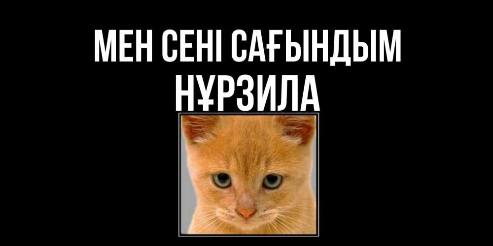 Күн сайын ашық хат с именем, НҰРЗИЛА Мен сені сағындым открытки рыжий котенок скучает по тебе Онлайн тегін жүктеп алу тілектері бар керемет карта 