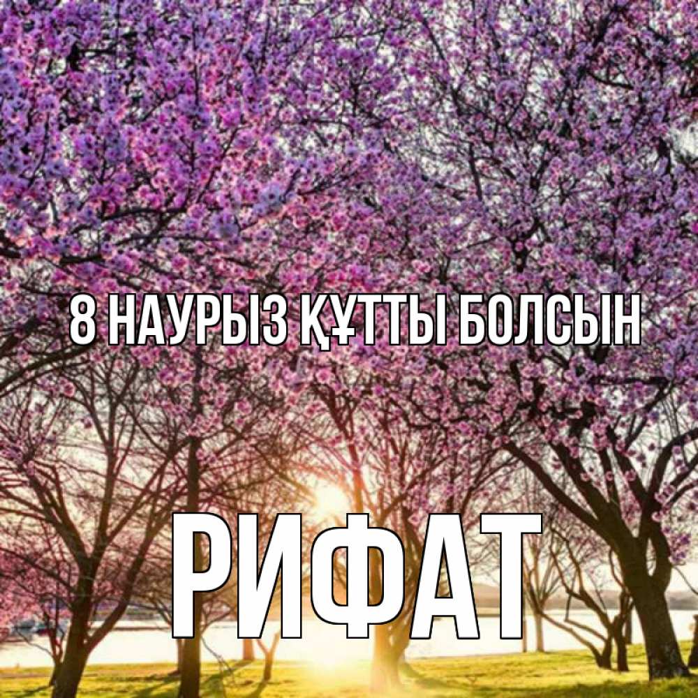Күн сайын ашық хат с именем, Рифат 8 наурыз құтты болсын международный женский день Онлайн тегін жүктеп алу тілектері бар керемет карта 