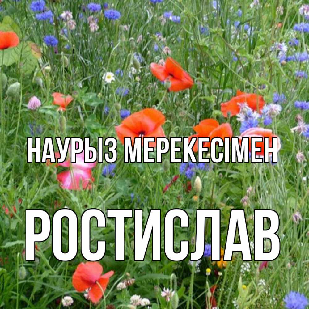 Күн сайын ашық хат с именем, Ростислав Наурыз мерекесімен праздник весны наурыз супер открытка Онлайн тегін жүктеп алу тілектері бар керемет карта 