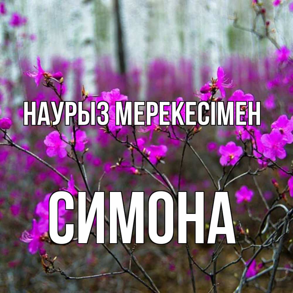 Күн сайын ашық хат с именем, Симона Наурыз мерекесімен дикие цветы Онлайн тегін жүктеп алу тілектері бар керемет карта 