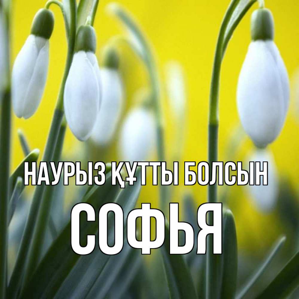 Күн сайын ашық хат с именем, Софья Наурыз құтты болсын весенние цветы Онлайн тегін жүктеп алу тілектері бар керемет карта 