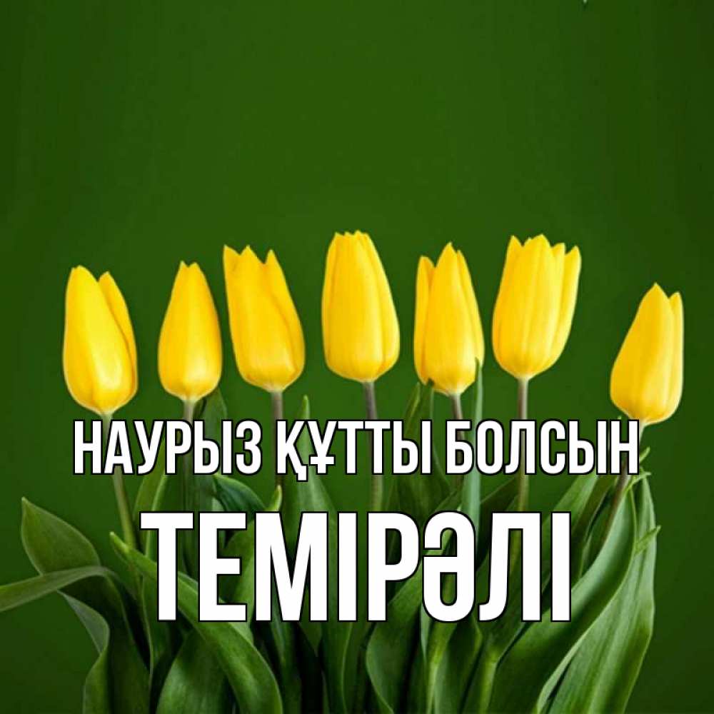 Күн сайын ашық хат с именем, ТЕМІРӘЛІ Наурыз құтты болсын желтого цвета 3 Онлайн тегін жүктеп алу тілектері бар керемет карта 
