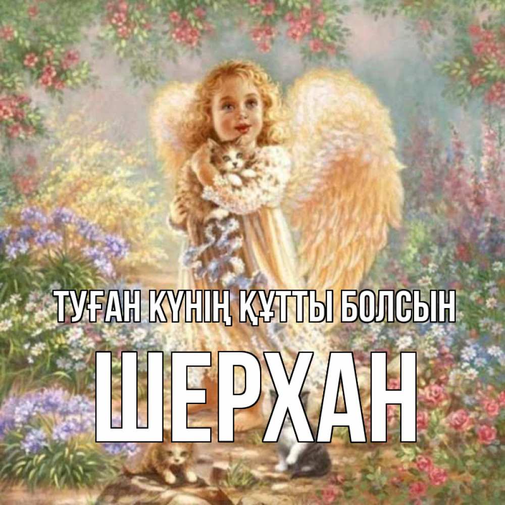 Күн сайын ашық хат с именем, ШЕРХАН Туған күнің құтты болсын держит котенка Онлайн тегін жүктеп алу тілектері бар керемет карта 