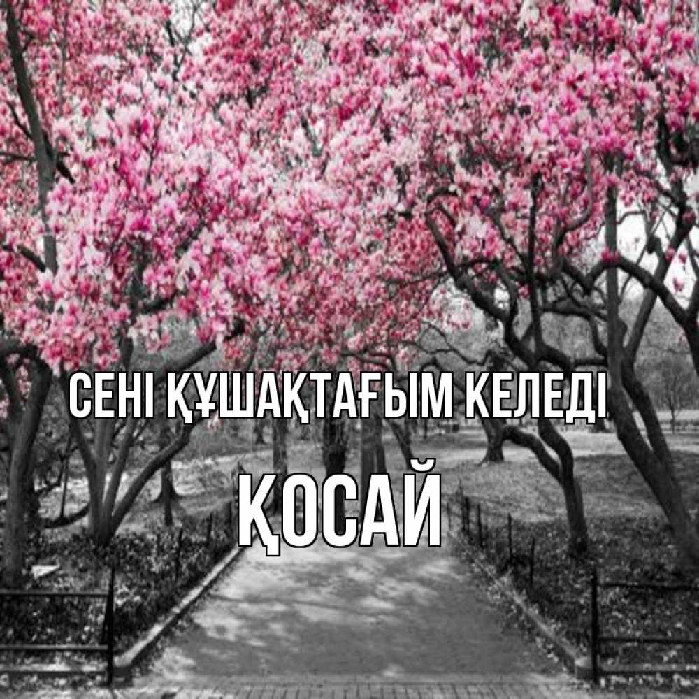 Күн сайын ашық хат с именем, ҚОСАЙ сені құшақтағым келеді обработанное фото Онлайн тегін жүктеп алу тілектері бар керемет карта 
