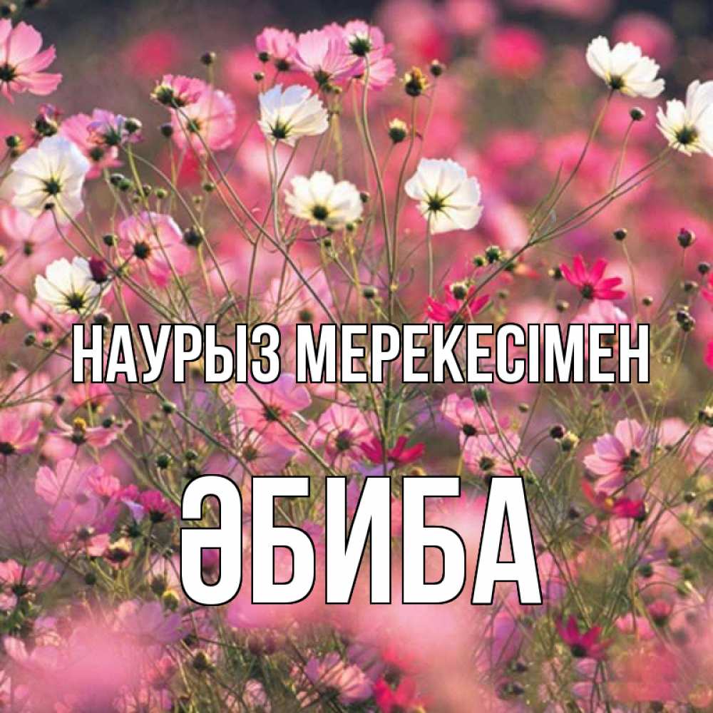 Күн сайын ашық хат с именем, ӘБИБА Наурыз мерекесімен красиво 1 Онлайн тегін жүктеп алу тілектері бар керемет карта 