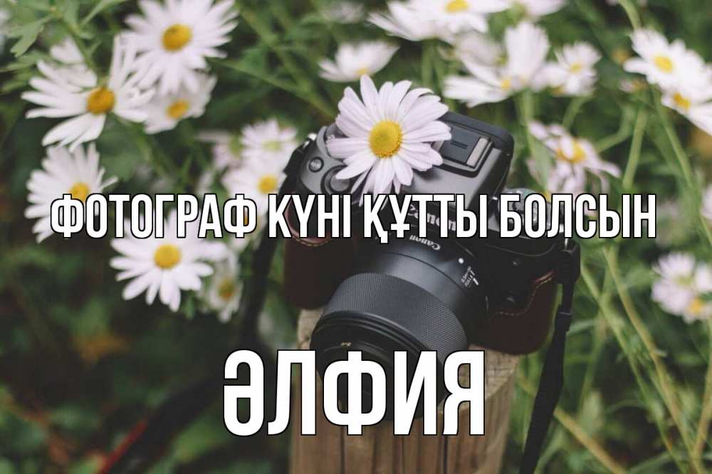 Күн сайын ашық хат с именем, ӘЛФИЯ Фотограф күні құтты болсын с днем фотографа Онлайн тегін жүктеп алу тілектері бар керемет карта 
