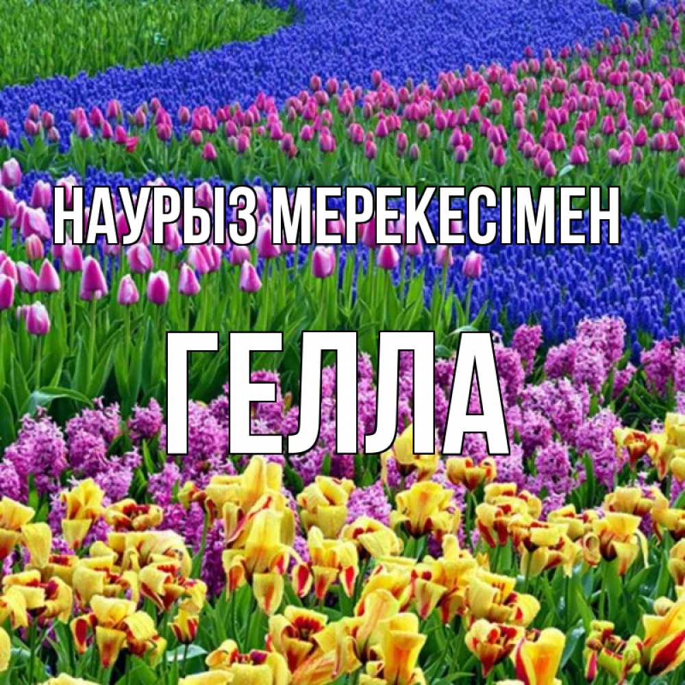Күн сайын ашық хат с именем, Гелла Наурыз мерекесімен цветы Онлайн тегін жүктеп алу тілектері бар керемет карта 