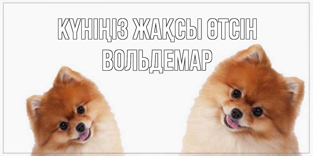 Күн сайын ашық хат с именем, Вольдемар Күніңіз жақсы өтсін собачки желают прекрасного дня Онлайн тегін жүктеп алу тілектері бар керемет карта 