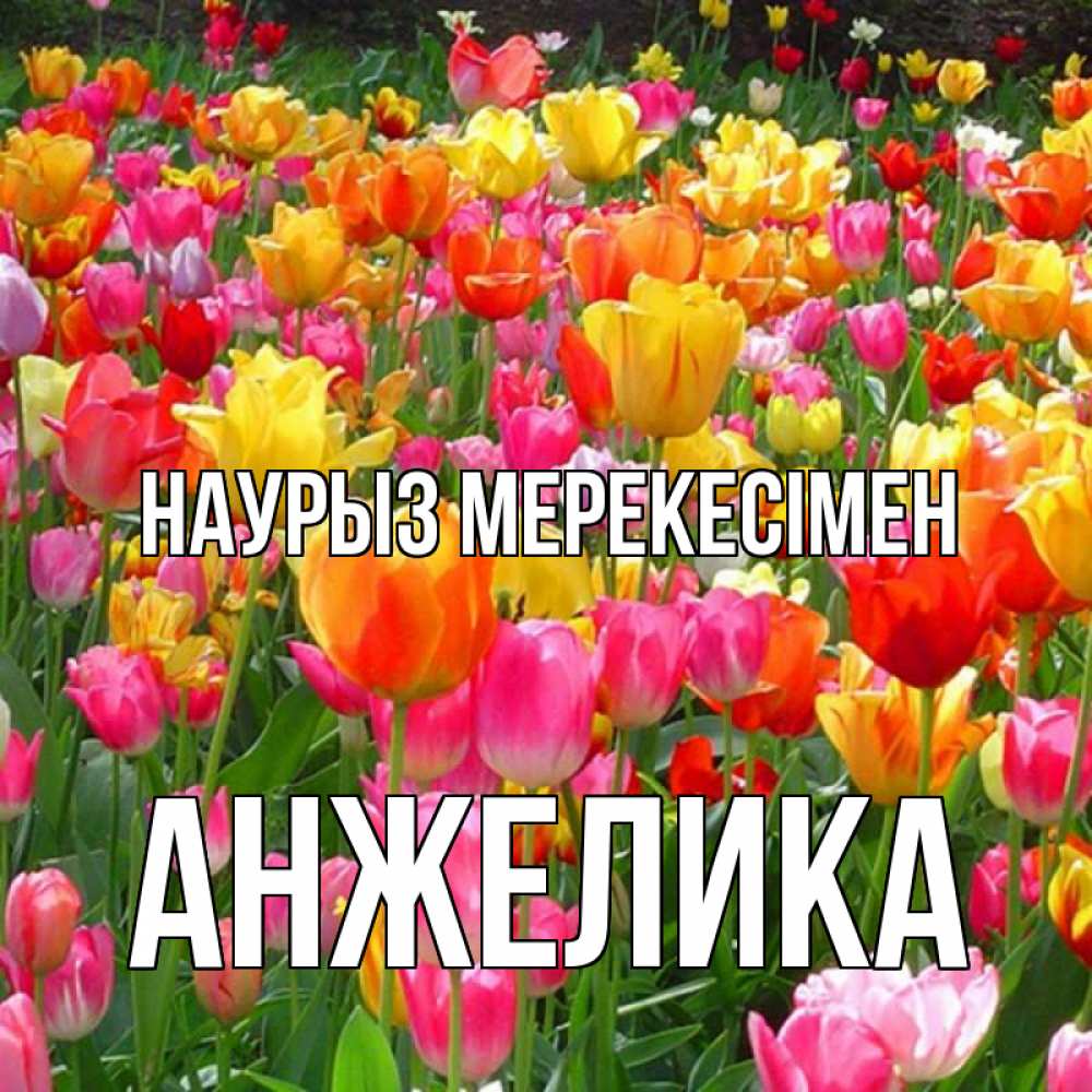 Күн сайын ашық хат с именем, Анжелика Наурыз мерекесімен праздник весны наурыз 4 Онлайн тегін жүктеп алу тілектері бар керемет карта 