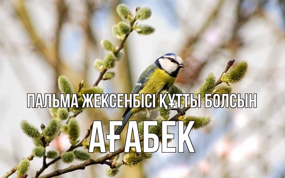 Күн сайын ашық хат с именем, Ағабек Пальма жексенбісі құтты болсын верба Онлайн тегін жүктеп алу тілектері бар керемет карта 