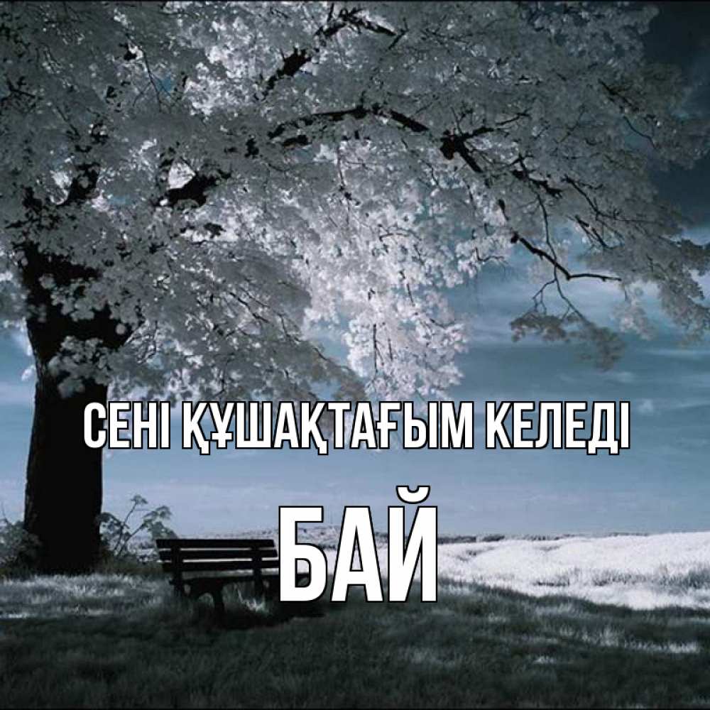 Күн сайын ашық хат с именем, Бай сені құшақтағым келеді дерево Онлайн тегін жүктеп алу тілектері бар керемет карта 