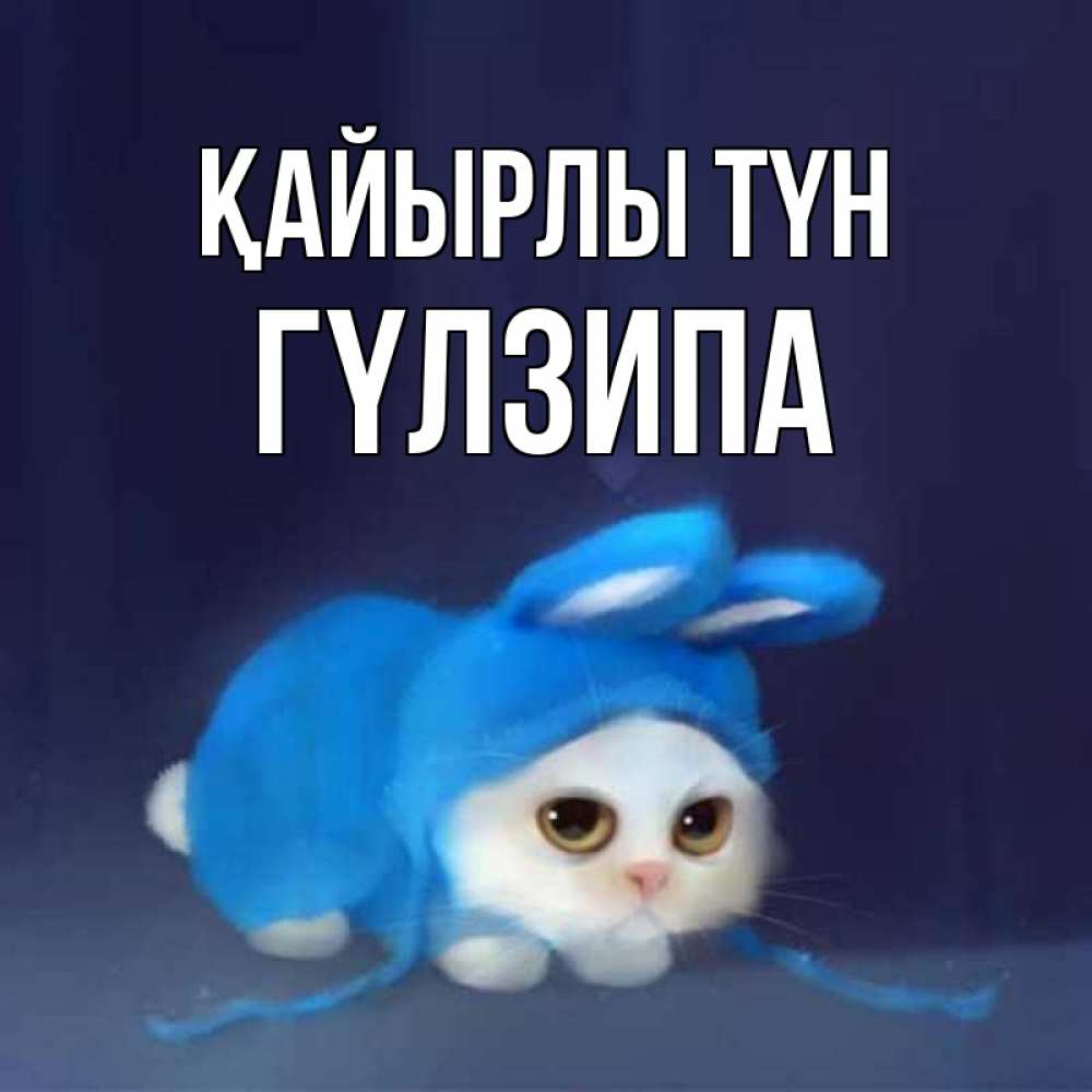 Күн сайын ашық хат с именем, ГҮЛЗИПА Қайырлы түн кот в голубом костюме кролика с ушками Онлайн тегін жүктеп алу тілектері бар керемет карта 