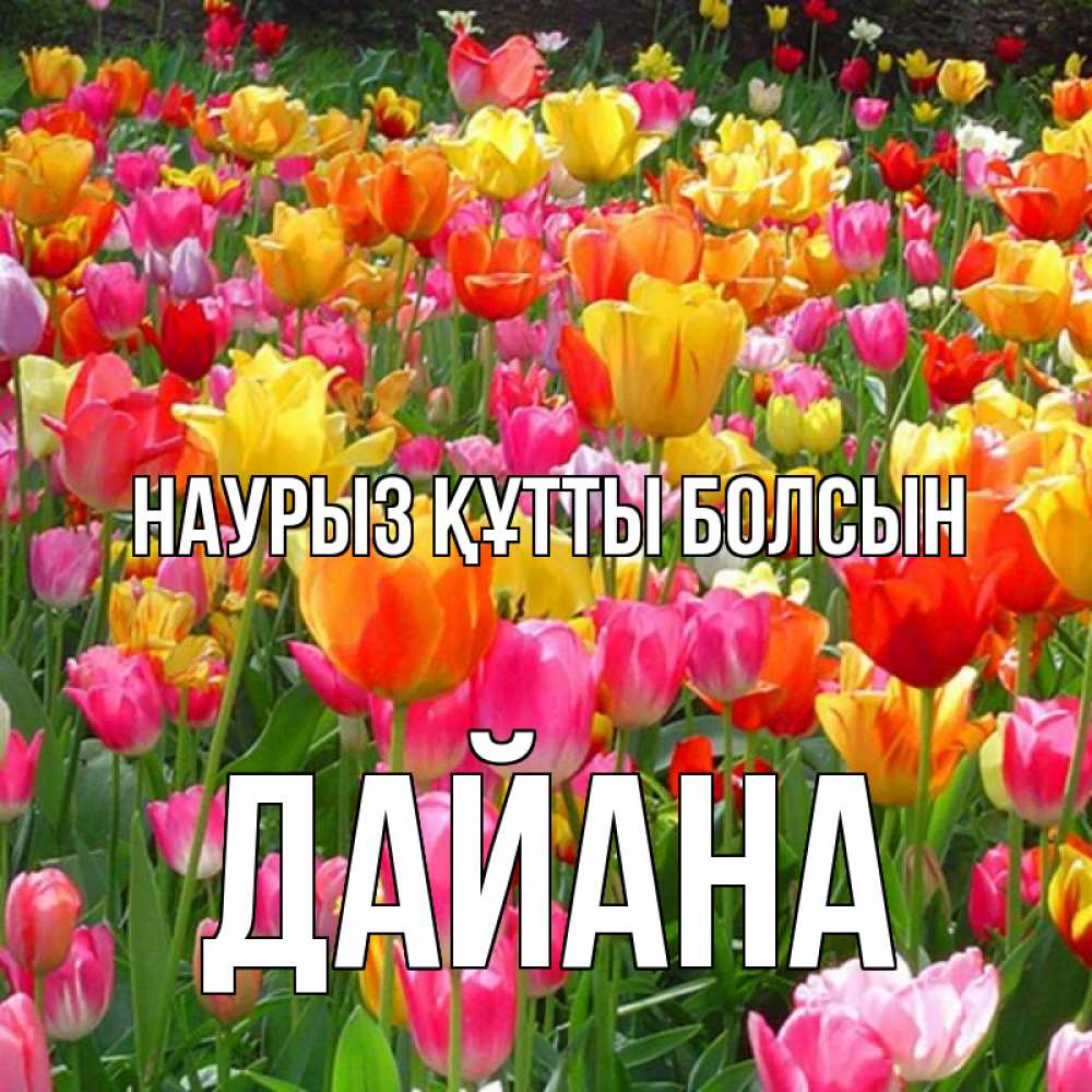 Күн сайын ашық хат с именем, ДАЙАНА Наурыз құтты болсын на наурыз  ура ура Онлайн тегін жүктеп алу тілектері бар керемет карта 