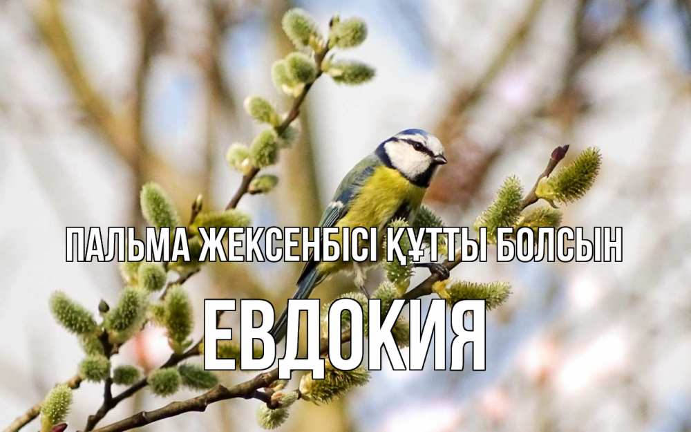 Күн сайын ашық хат с именем, Евдокия Пальма жексенбісі құтты болсын верба Онлайн тегін жүктеп алу тілектері бар керемет карта 