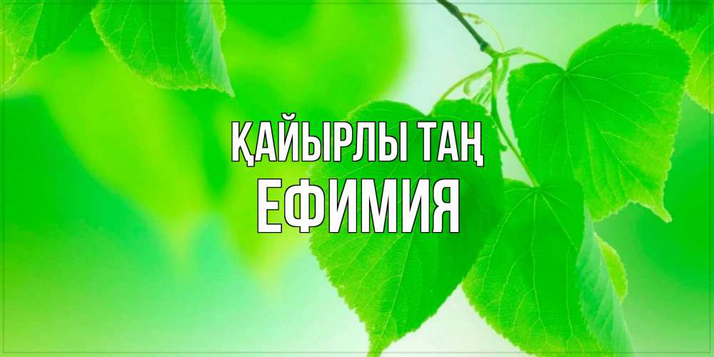 Күн сайын ашық хат с именем, Ефимия Қайырлы таң доброе утро с березовыми листьями Онлайн тегін жүктеп алу тілектері бар керемет карта 