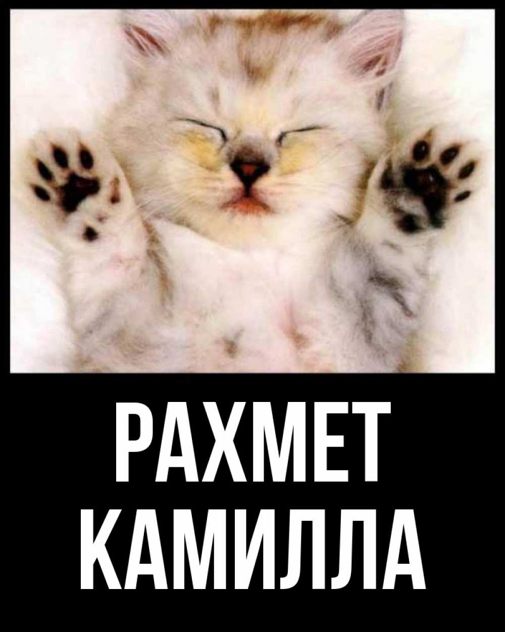 Күн сайын ашық хат с именем, Камилла рахмет маленький котенок Онлайн тегін жүктеп алу тілектері бар керемет карта 