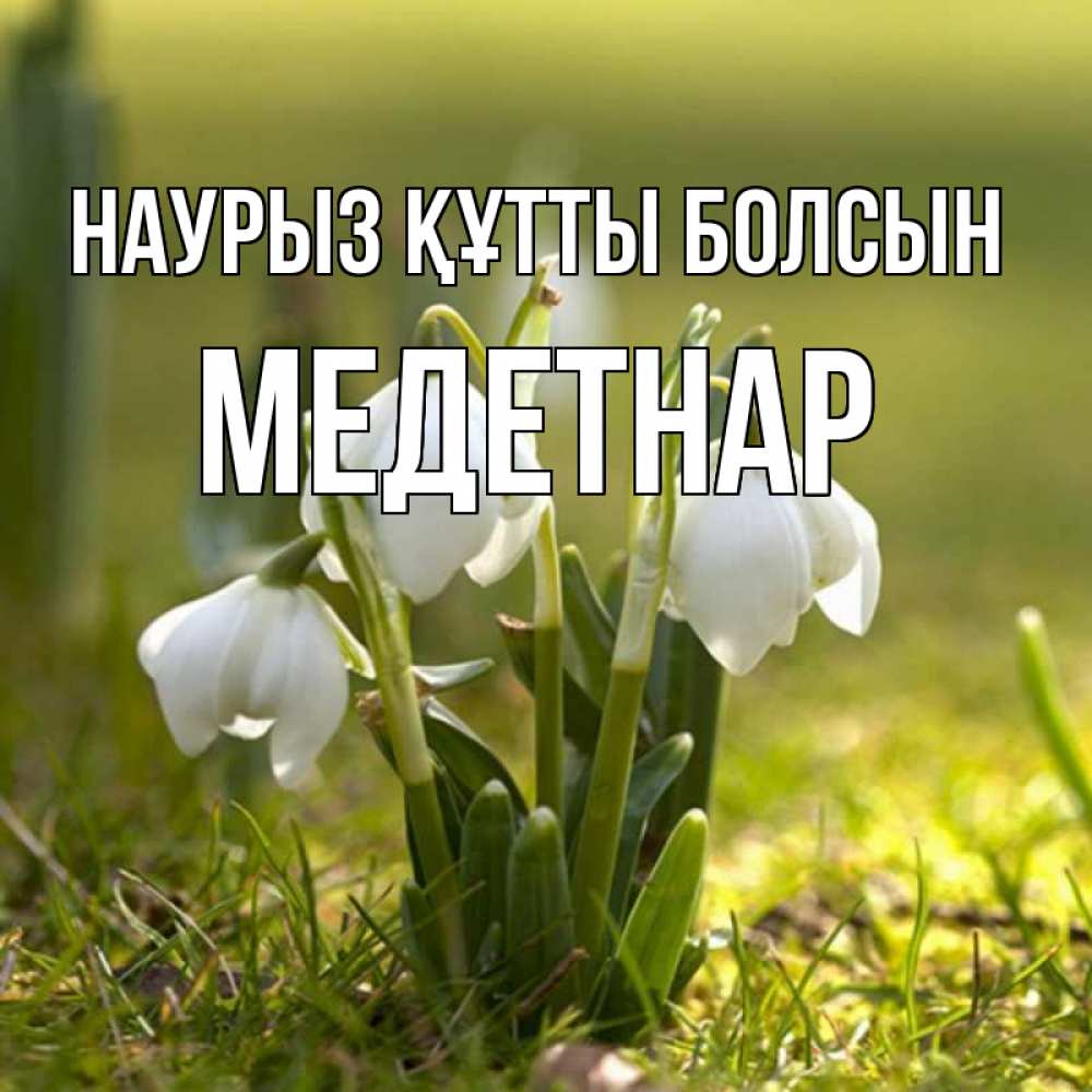 Күн сайын ашық хат с именем, МЕДЕТНАР Наурыз құтты болсын ранние цветы 2 Онлайн тегін жүктеп алу тілектері бар керемет карта 