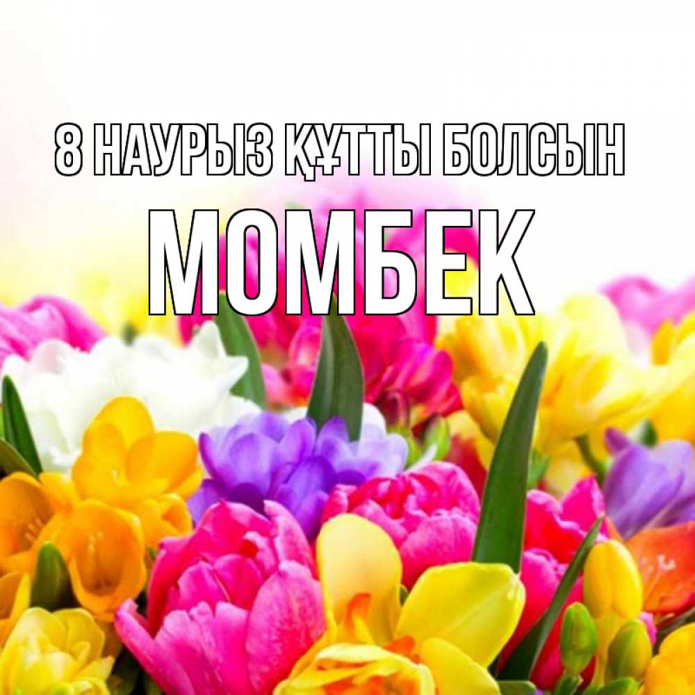 Күн сайын ашық хат с именем, МОМБЕК 8 наурыз құтты болсын тюльпаны Онлайн тегін жүктеп алу тілектері бар керемет карта 