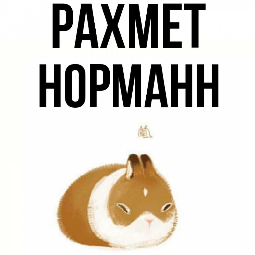 Күн сайын ашық хат с именем, Норманн рахмет коричнево белый домашний питомец Онлайн тегін жүктеп алу тілектері бар керемет карта 