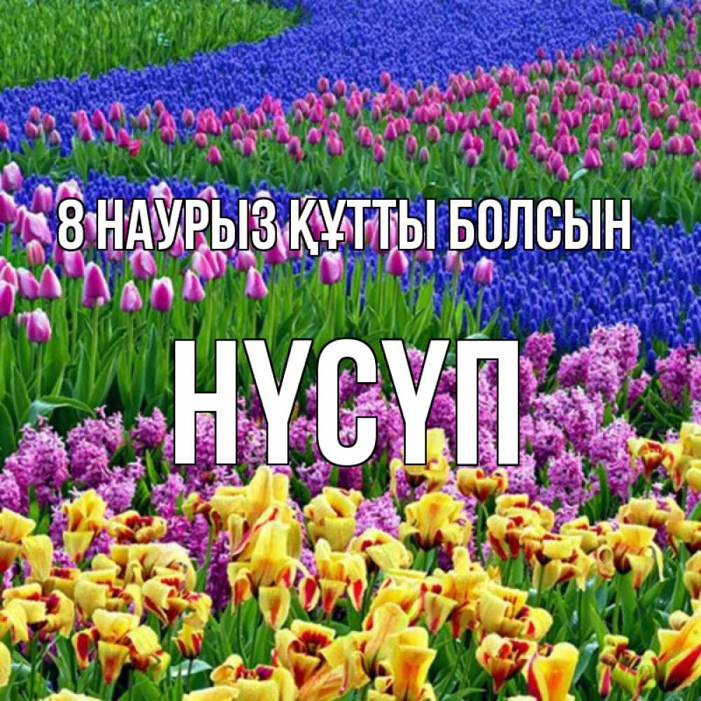 Күн сайын ашық хат с именем, НҮСҮП 8 наурыз құтты болсын цветы Онлайн тегін жүктеп алу тілектері бар керемет карта 
