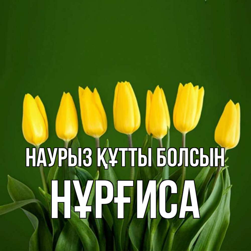 Күн сайын ашық хат с именем, НҰРҒИСА Наурыз құтты болсын желтого цвета 3 Онлайн тегін жүктеп алу тілектері бар керемет карта 