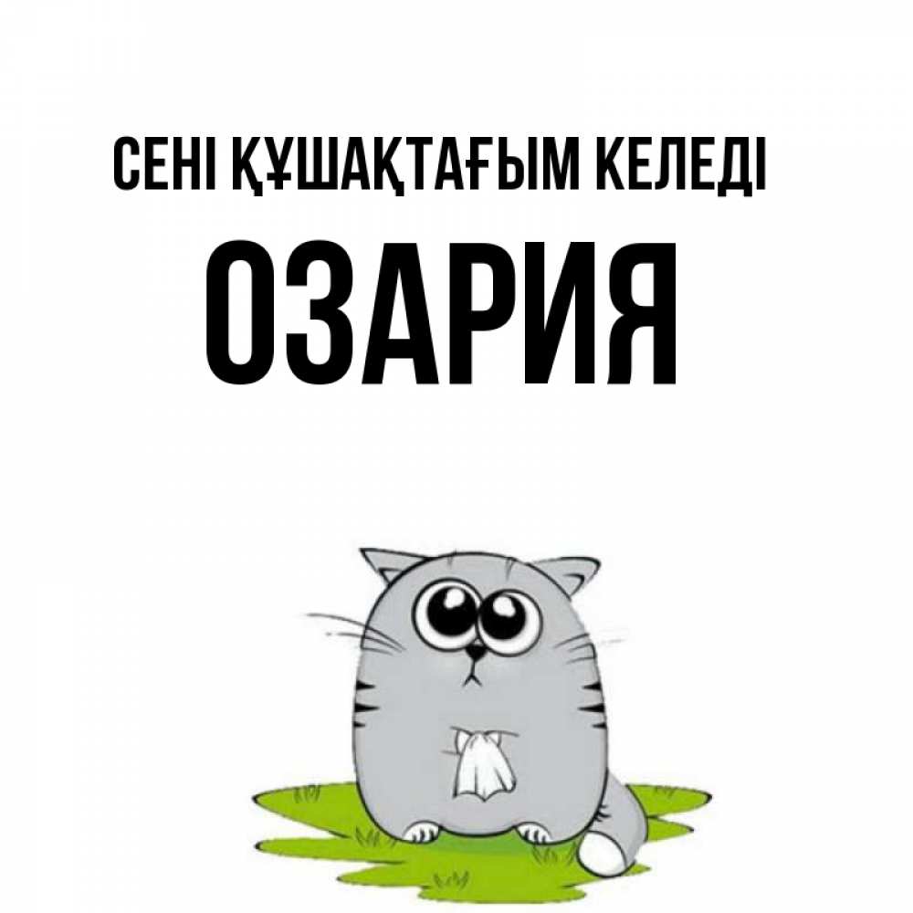 Күн сайын ашық хат с именем, ОЗАРИЯ сені құшақтағым келеді котик теребит платочек сидя на травке Онлайн тегін жүктеп алу тілектері бар керемет карта 