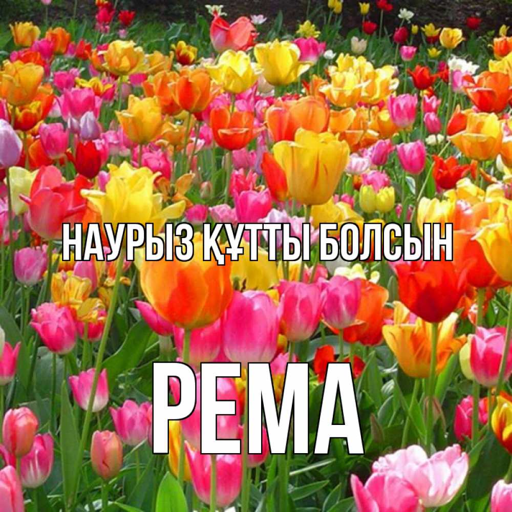 Күн сайын ашық хат с именем, Рема Наурыз құтты болсын на наурыз  ура ура Онлайн тегін жүктеп алу тілектері бар керемет карта 