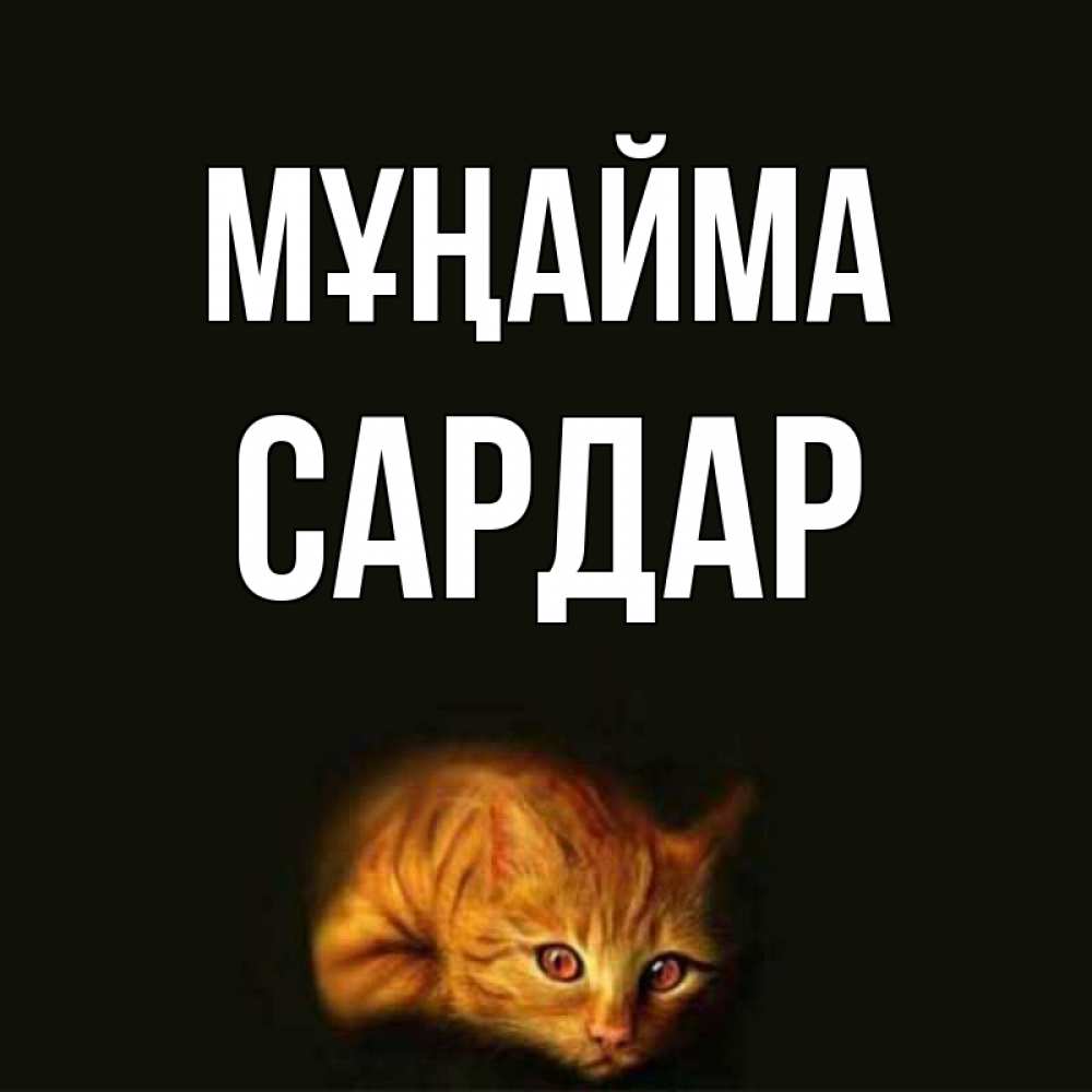 Күн сайын ашық хат с именем, САРДАР Мұңайма лежащий кот в темноте Онлайн тегін жүктеп алу тілектері бар керемет карта 
