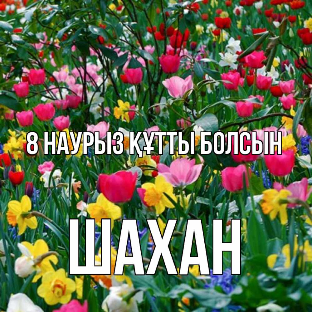 Күн сайын ашық хат с именем, ШАХАН 8 наурыз құтты болсын с международным женским днем поздравления для женщины Онлайн тегін жүктеп алу тілектері бар керемет карта 