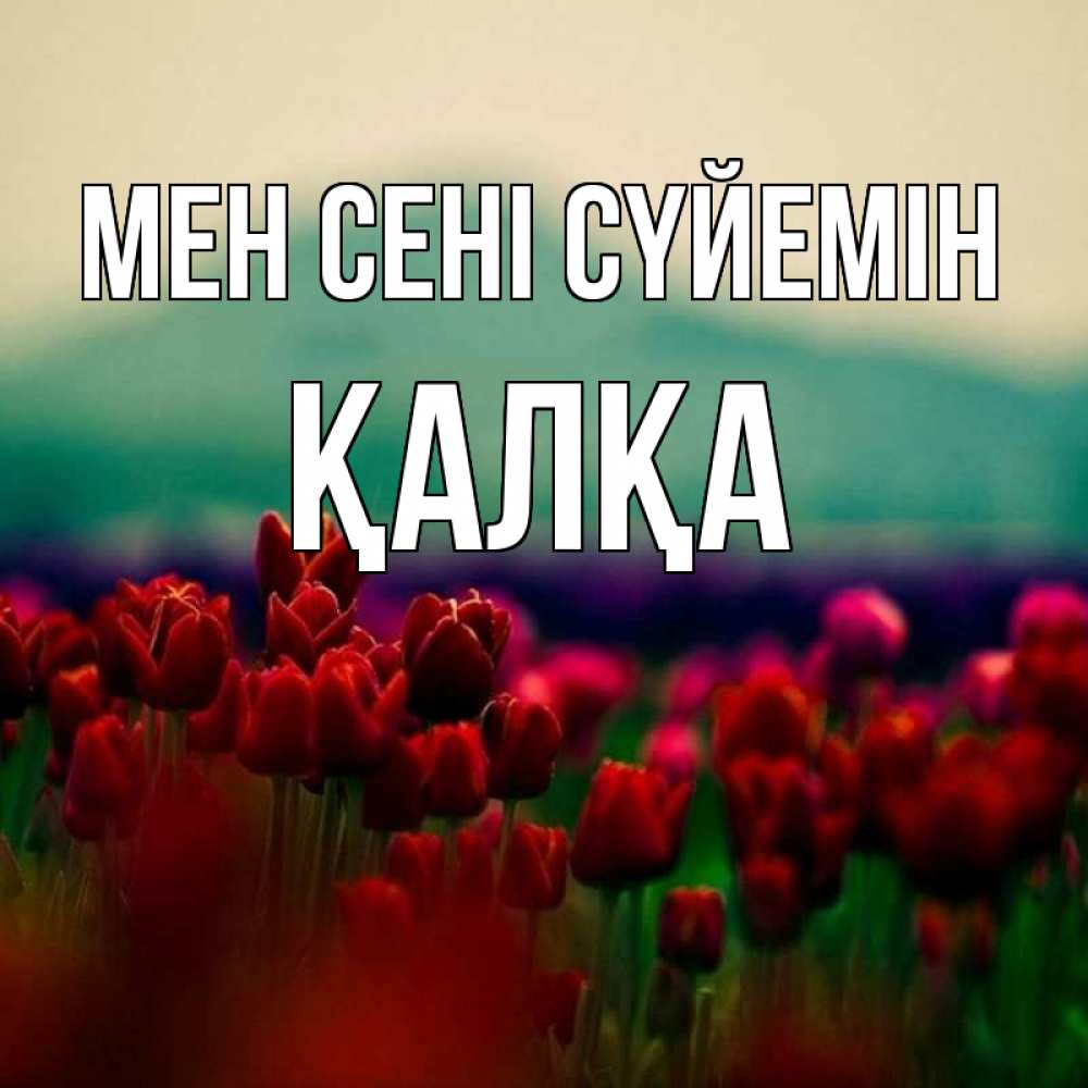 Күн сайын ашық хат с именем, Қалқа Мен сені сүйемін тюльпаны 4 Онлайн тегін жүктеп алу тілектері бар керемет карта 