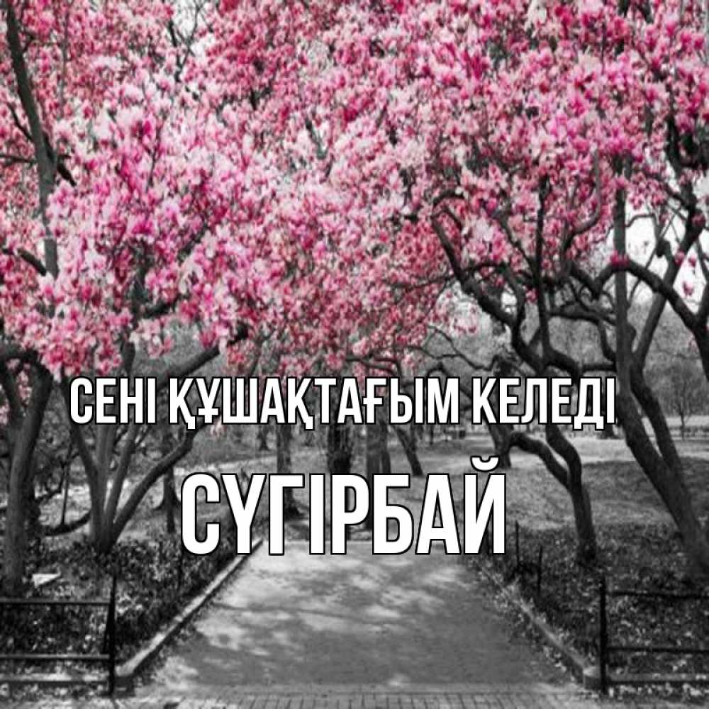 Күн сайын ашық хат с именем, СҮГІРБАЙ сені құшақтағым келеді обработанное фото Онлайн тегін жүктеп алу тілектері бар керемет карта 